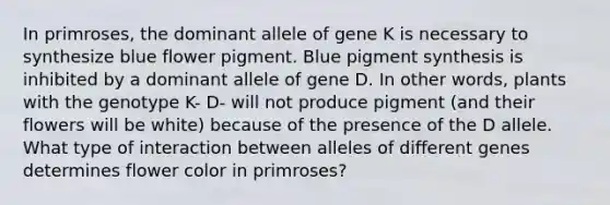 In primroses, the dominant allele of gene K is necessary to synthesize blue flower pigment. Blue pigment synthesis is inhibited by a dominant allele of gene D. In other words, plants with the genotype K- D- will not produce pigment (and their flowers will be white) because of the presence of the D allele. What type of interaction between alleles of different genes determines flower color in primroses?