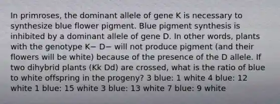 In primroses, the dominant allele of gene K is necessary to synthesize blue flower pigment. Blue pigment synthesis is inhibited by a dominant allele of gene D. In other words, plants with the genotype K− D− will not produce pigment (and their flowers will be white) because of the presence of the D allele. If two dihybrid plants (Kk Dd) are crossed, what is the ratio of blue to white offspring in the progeny? 3 blue: 1 white 4 blue: 12 white 1 blue: 15 white 3 blue: 13 white 7 blue: 9 white