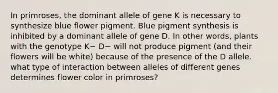 In primroses, the dominant allele of gene K is necessary to synthesize blue flower pigment. Blue pigment synthesis is inhibited by a dominant allele of gene D. In other words, plants with the genotype K− D− will not produce pigment (and their flowers will be white) because of the presence of the D allele. what type of interaction between alleles of different genes determines flower color in primroses?