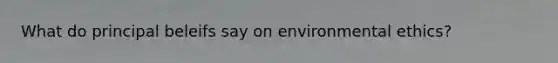 What do principal beleifs say on environmental ethics?