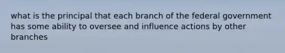 what is the principal that each branch of the federal government has some ability to oversee and influence actions by other branches