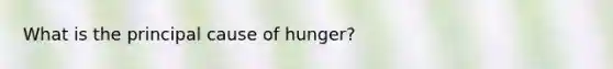 What is the principal cause of hunger?