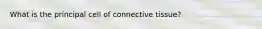 What is the principal cell of connective tissue?