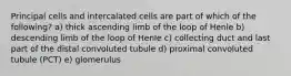 Principal cells and intercalated cells are part of which of the following? a) thick ascending limb of the loop of Henle b) descending limb of the loop of Henle c) collecting duct and last part of the distal convoluted tubule d) proximal convoluted tubule (PCT) e) glomerulus