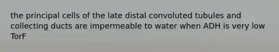 the principal cells of the late distal convoluted tubules and collecting ducts are impermeable to water when ADH is very low TorF