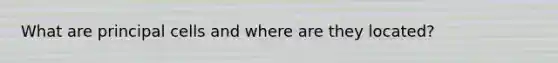 What are principal cells and where are they located?