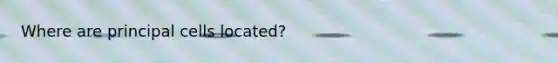 Where are principal cells located?