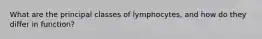 What are the principal classes of lymphocytes, and how do they differ in function?