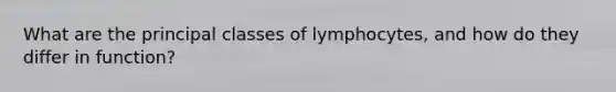 What are the principal classes of lymphocytes, and how do they differ in function?