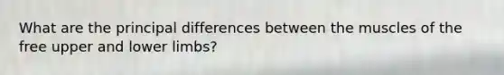 What are the principal differences between the muscles of the free upper and lower limbs?