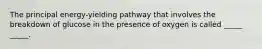 The principal energy-yielding pathway that involves the breakdown of glucose in the presence of oxygen is called _____ _____.