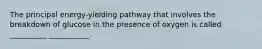 The principal energy-yielding pathway that involves the breakdown of glucose in the presence of oxygen is called __________ ___________.