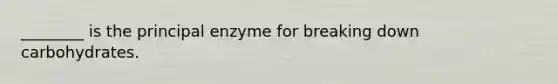 ________ is the principal enzyme for breaking down carbohydrates.