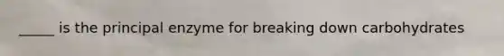 _____ is the principal enzyme for breaking down carbohydrates