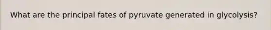 What are the principal fates of pyruvate generated in glycolysis?