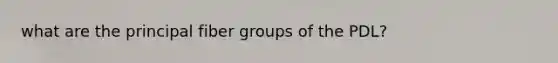 what are the principal fiber groups of the PDL?