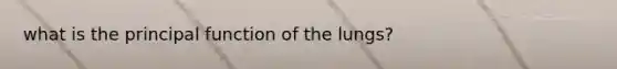 what is the principal function of the lungs?