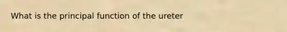 What is the principal function of the ureter