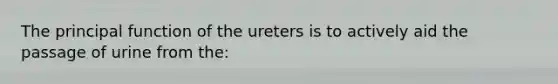 The principal function of the ureters is to actively aid the passage of urine from the: