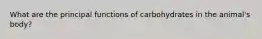 What are the principal functions of carbohydrates in the animal's body?