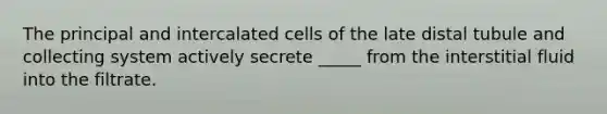 The principal and intercalated cells of the late distal tubule and collecting system actively secrete _____ from the interstitial fluid into the filtrate.