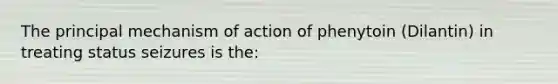 The principal mechanism of action of phenytoin (Dilantin) in treating status seizures is the: