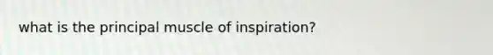 what is the principal muscle of inspiration?