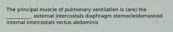 The principal muscle of pulmonary ventilation is (are) the __________. external intercostals diaphragm sternocleidomastoid internal intercostals rectus abdominis