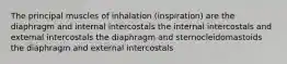 The principal muscles of inhalation (inspiration) are the diaphragm and internal intercostals the internal intercostals and external intercostals the diaphragm and sternocleidomastoids the diaphragm and external intercostals