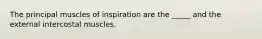 The principal muscles of inspiration are the _____ and the external intercostal muscles.