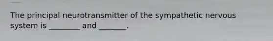 The principal neurotransmitter of the sympathetic nervous system is ________ and _______.