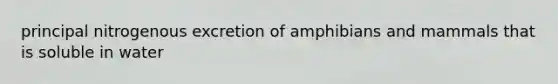 principal nitrogenous excretion of amphibians and mammals that is soluble in water