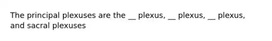 The principal plexuses are the __ plexus, __ plexus, __ plexus, and sacral plexuses