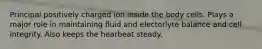 Principal positively charged ion inside the body cells. Plays a major role in maintaining fluid and electorlyte balance and cell integrity. Also keeps the hearbeat steady.