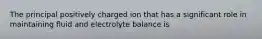 The principal positively charged ion that has a significant role in maintaining fluid and electrolyte balance is