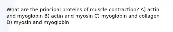 What are the principal proteins of muscle contraction? A) actin and myoglobin B) actin and myosin C) myoglobin and collagen D) myosin and myoglobin