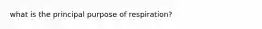 what is the principal purpose of respiration?