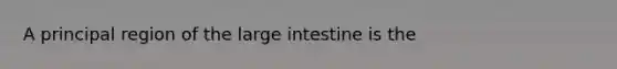 A principal region of the large intestine is the