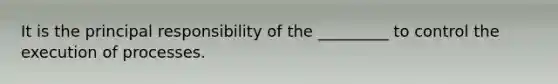 It is the principal responsibility of the _________ to control the execution of processes.