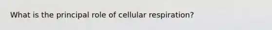 What is the principal role of cellular respiration?