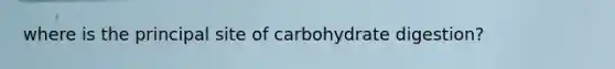 where is the principal site of carbohydrate digestion?