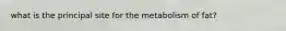 what is the principal site for the metabolism of fat?