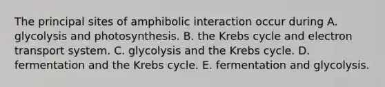 The principal sites of amphibolic interaction occur during A. glycolysis and photosynthesis. B. the Krebs cycle and electron transport system. C. glycolysis and the Krebs cycle. D. fermentation and the Krebs cycle. E. fermentation and glycolysis.