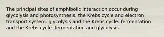 The principal sites of amphibolic interaction occur during glycolysis and photosynthesis. the Krebs cycle and electron transport system. glycolysis and the Krebs cycle. fermentation and the Krebs cycle. fermentation and glycolysis.