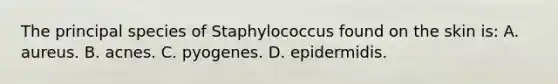 The principal species of Staphylococcus found on the skin is: A. aureus. B. acnes. C. pyogenes. D. epidermidis.