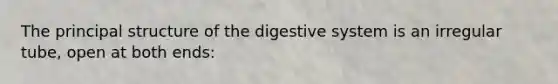 The principal structure of the digestive system is an irregular tube, open at both ends: