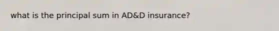 what is the principal sum in AD&D insurance?