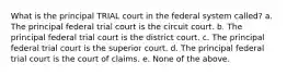 What is the principal TRIAL court in the federal system called? a. The principal federal trial court is the circuit court. b. The principal federal trial court is the district court. c. The principal federal trial court is the superior court. d. The principal federal trial court is the court of claims. e. None of the above.