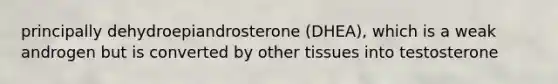 principally dehydroepiandrosterone (DHEA), which is a weak androgen but is converted by other tissues into testosterone