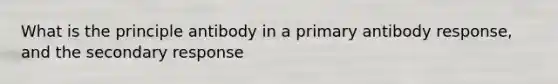 What is the principle antibody in a primary antibody response, and the secondary response